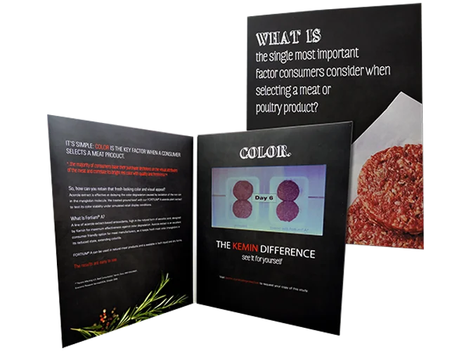 Video Brochure - KB Meat Bi-fold